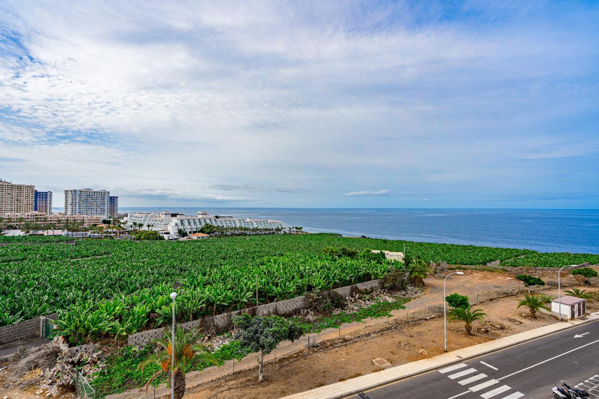 Tropical Views By Sunkeyrents * Callao Salvaje